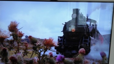 Photography titled "Photo de locomotive" by Florence Castelli  Flofloyd, Original Artwork