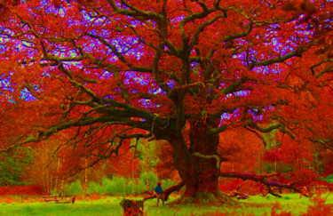Photography titled "Photo d arbre refai…" by Florence Castelli  Flofloyd, Original Artwork