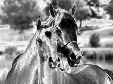 Photography titled "Photo de chevaux re…" by Florence Castelli  Flofloyd, Original Artwork