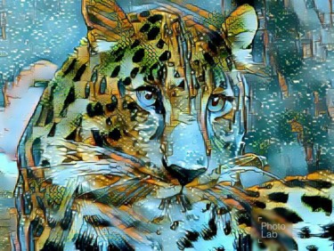Photographie intitulée "Un tigre dans toute…" par Florence Castelli  Flofloyd, Œuvre d'art originale