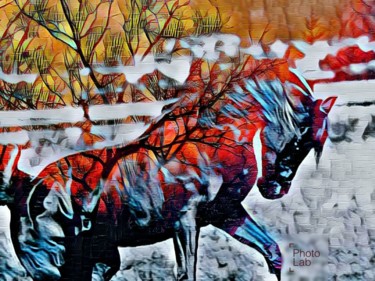 Photographie intitulée "Mon cheval à ma faç…" par Florence Castelli  Flofloyd, Œuvre d'art originale