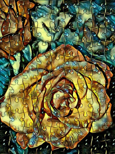 Photographie intitulée "Une rose dans toute…" par Florence Castelli  Flofloyd, Œuvre d'art originale