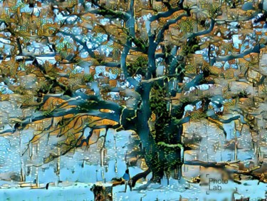 Photographie intitulée "Un arbre dans toute…" par Florence Castelli  Flofloyd, Œuvre d'art originale