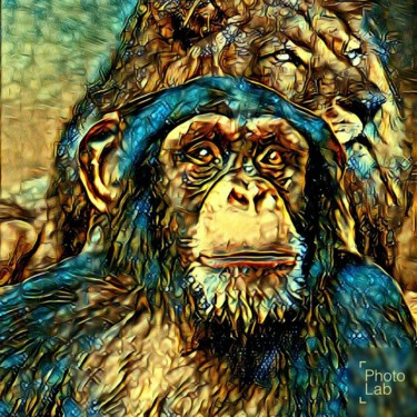 Photographie intitulée "L amitié d un singe…" par Florence Castelli  Flofloyd, Œuvre d'art originale