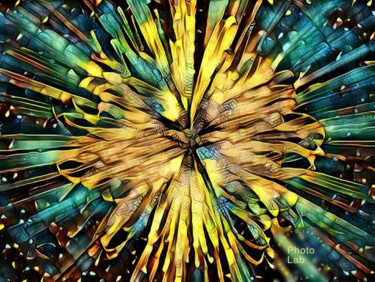 Photographie intitulée "Un feu d'artifice" par Florence Castelli  Flofloyd, Œuvre d'art originale