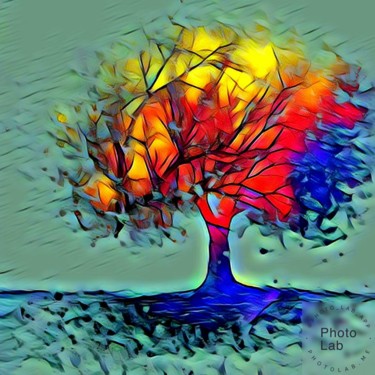 Fotografía titulada "Un arbre en couleurs" por Florence Castelli  Flofloyd, Obra de arte original