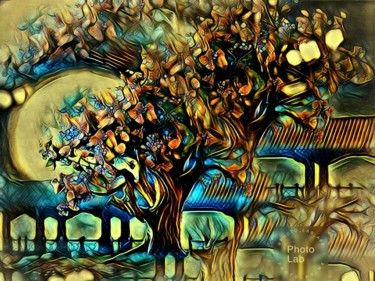 Фотография под названием "L arbre dans un pay…" - Florence Castelli  Flofloyd, Подлинное произведение искусства