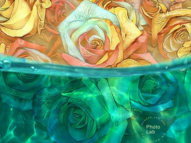 Photographie intitulée "Un bouquet de roses" par Florence Castelli  Flofloyd, Œuvre d'art originale