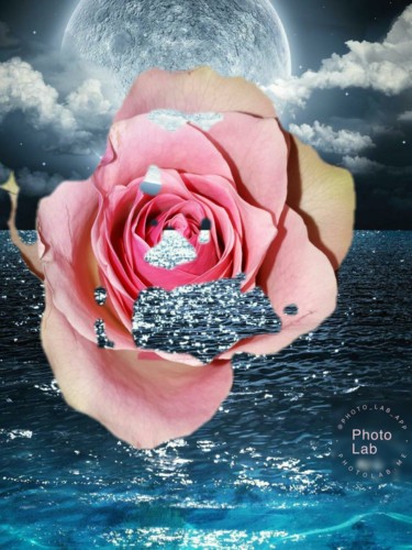 Photographie intitulée "Une jolie rose" par Florence Castelli  Flofloyd, Œuvre d'art originale
