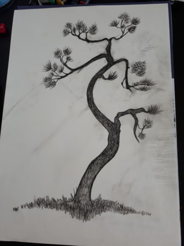 Drawing titled "Un arbre en dessin" by Florence Castelli  Flofloyd, Original Artwork, Pencil