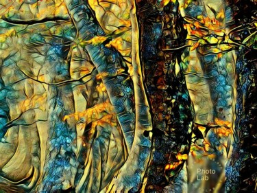 Photographie intitulée "Des troncs d arbres" par Florence Castelli  Flofloyd, Œuvre d'art originale