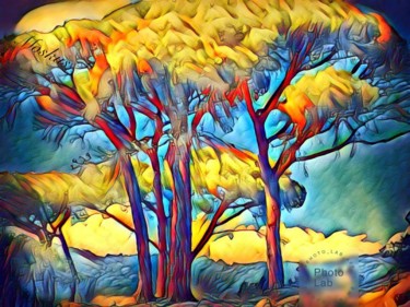 Photography titled "J aime ces arbres" by Florence Castelli  Flofloyd, Original Artwork