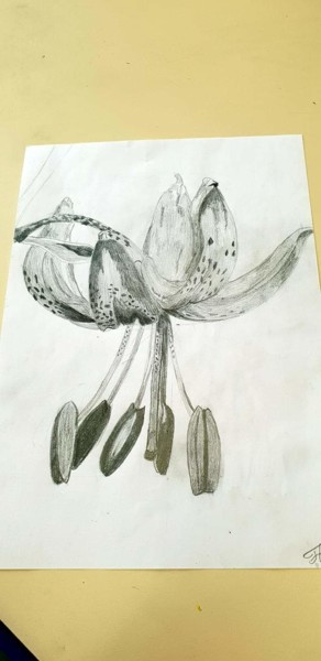 Drawing titled "Une belle fleur" by Florence Castelli  Flofloyd, Original Artwork, Pencil