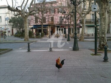 Photography titled "De crus poulets à l…" by Map'Titartisterie, Original Artwork, Non Manipulated Photography