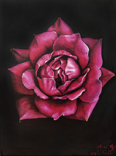 Painting titled "Scarlet rose" by Mariam Mary Ellen, Original Artwork, Oil