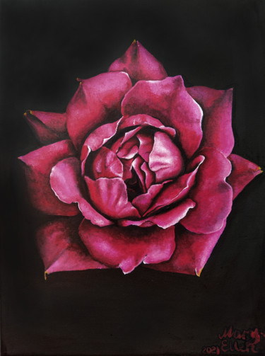 Scarlet rose Painting titled "Scarlet rose" by Mariam Mary-Ellen, Original Art, Oil
