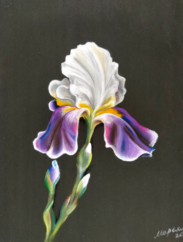 Peinture intitulée "Iris" par Mariam Mary Ellen, Œuvre d'art originale, Pastel