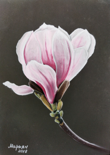 Painting titled "Magnolia" by Mariam Mary Ellen, Original Artwork, Pastel
