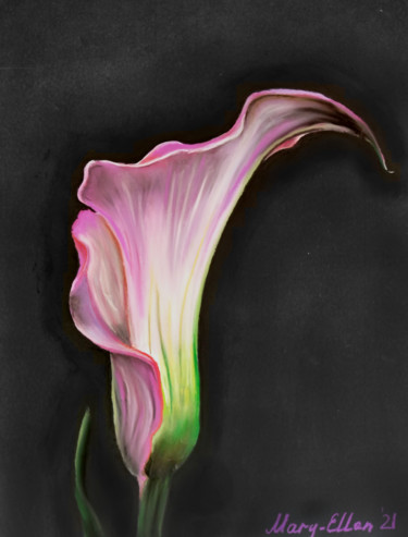 Картина под названием "Pink calla" - Mariam Mary-Ellen, Подлинное произведение искусства, Пастель