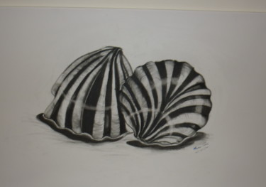 Drawing titled "Conchas" by Mara Tomé, Original Artwork, Charcoal Mounted on artwork_cat.