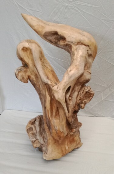 Sculpture titled "Métamorphose" by Marbthogui, Original Artwork, Wood