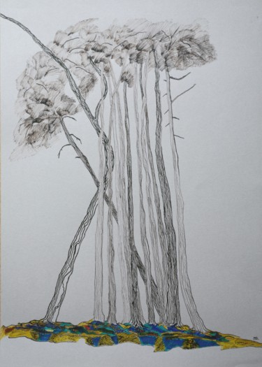 Drawing titled "VEGETAL 2" by Marc Barn, Original Artwork, Ink