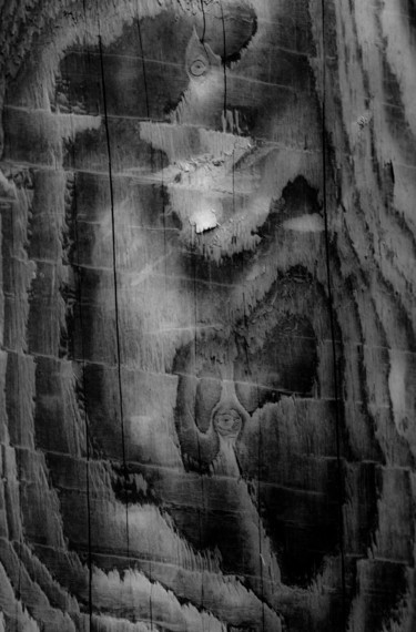 Photographie intitulée "Totem II" par Marc Bergeron, Œuvre d'art originale