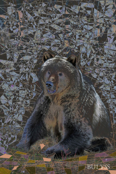 Arts numériques intitulée "Hopis Bear" par Marc Bulyss, Œuvre d'art originale, Travail numérique 2D