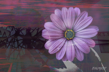 Digitale Kunst mit dem Titel "Purple Flower" von Marc Bulyss, Original-Kunstwerk, Fotomontage