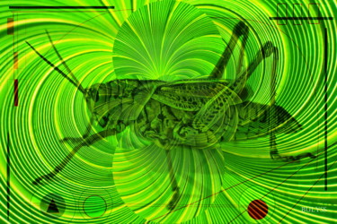 Arte digitale intitolato "Sidney Grasshopper" da Marc Bulyss, Opera d'arte originale, Pittura digitale