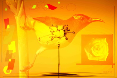 Digitale Kunst mit dem Titel "Water Drop" von Marc Bulyss, Original-Kunstwerk, Digitale Malerei