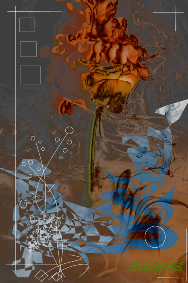 Digital Arts titled "An Orange -Flower-…" by Marc Bulyss, Original Artwork, Digital Painting