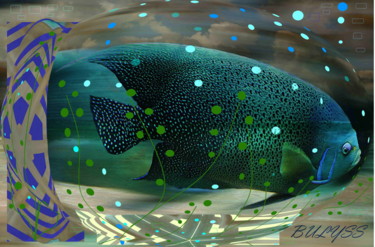 Arts numériques intitulée "Bermuda Fish" par Marc Bulyss, Œuvre d'art originale, Travail numérique 2D