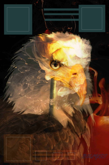 Digital Arts titled "Emir Eagle" by Marc Bulyss, Original Artwork, Digital Painting