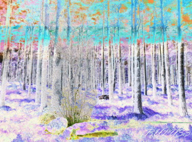 Digital Arts με τίτλο "Forest Ecologie (ле…" από Marc Bulyss, Αυθεντικά έργα τέχνης, Ψηφιακή ζωγραφική