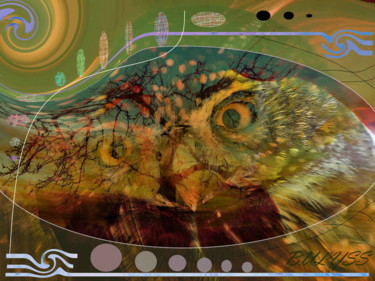 Digital Arts titled "Hulvent  Owl" by Marc Bulyss, Original Artwork, Digital Painting