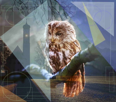Digitale Kunst mit dem Titel "Owl Orthodoxe" von Marc Bulyss, Original-Kunstwerk, Digitale Malerei