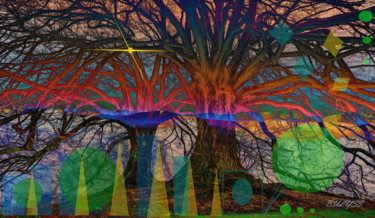 Digitale Kunst mit dem Titel "Tree of st Louis" von Marc Bulyss, Original-Kunstwerk, Digitale Malerei