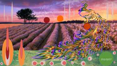 Digital Arts titled "Peacock And Lavender" by Marc Bulyss, Original Artwork, Digital Painting
