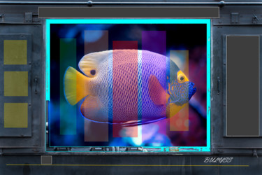 数字艺术 标题为“Machine Fish” 由Marc Bulyss, 原创艺术品, 2D数字工作