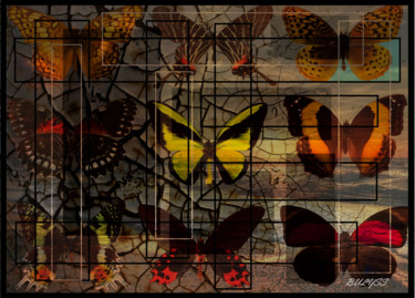 Digitale Kunst mit dem Titel "Butterflies" von Marc Bulyss, Original-Kunstwerk, Digitale Malerei