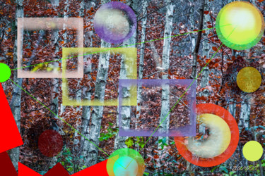 Digitale Kunst mit dem Titel "Merlin forêts" von Marc Bulyss, Original-Kunstwerk, Digitale Malerei