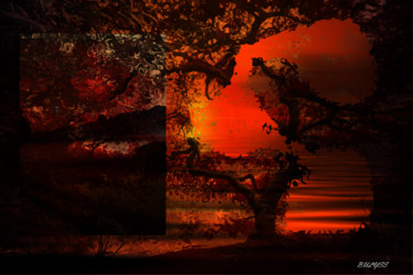 Merlin's World Digitale Künste mit dem Titel "Merlin's World" von Marc Bulyss, Original-Kunstwerk, Digitale Malerei
