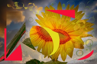 Digitale Kunst getiteld "Sun  flower composi…" door Marc Bulyss, Origineel Kunstwerk, 2D Digital Work