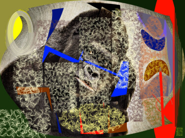 Digital Arts titled "Congo Gorilla" by Marc Bulyss, Original Artwork, Photo Montage