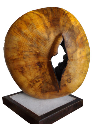 Sculpture titled "passage" by Marc De Smedt, Original Artwork, Wood