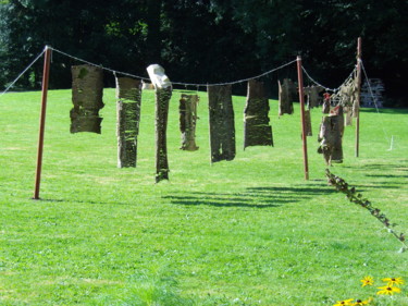 Installation intitulée "mues" par Marc De Smedt, Œuvre d'art originale