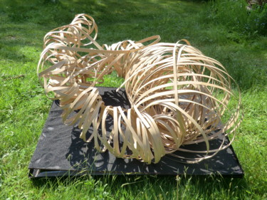 Sculpture intitulée "sirocco" par Marc De Smedt, Œuvre d'art originale