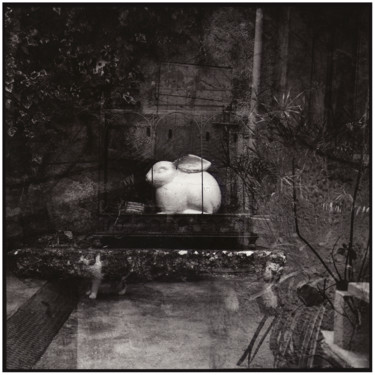 Photography titled "Alice's rabbit - 1/…" by Marc Paraskeva, Original Artwork, Analog photography Mounted on Cardboard