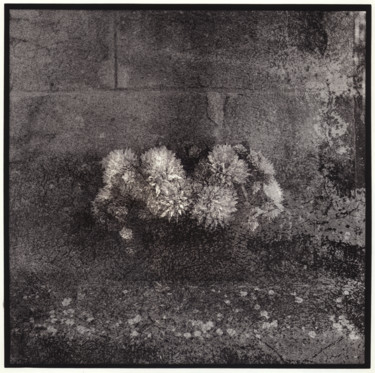 Fotografie mit dem Titel "Stone flowers - 1/7" von Marc Paraskeva, Original-Kunstwerk, Analog Fotografie Auf Karton montiert